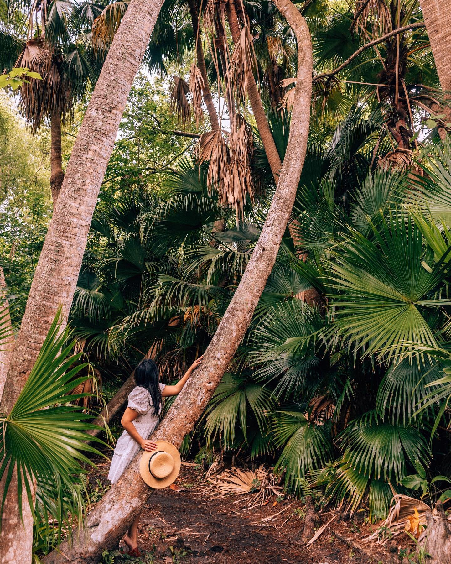 WELCOME TO THE (ORLANDO) JUNGLE

Tucked away in the Winter Park neighborhood of Orlando is the Mead Botanical Garden. Here are 5 reasons why you need to visit: 

🌿 Entrance to the garden is free so it's totally budget friendly

🌿 There are 48 acres