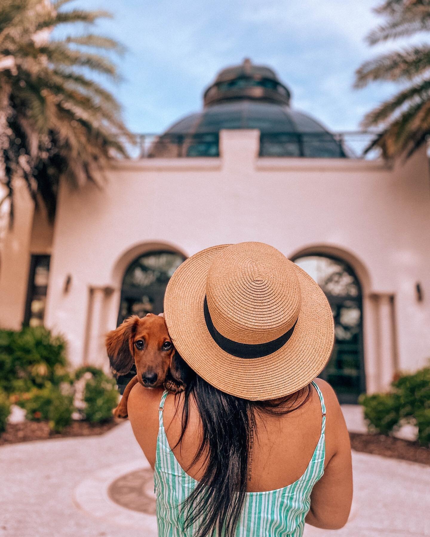 🐾 𝗦𝗔𝗩𝗘 IF YOU 𝗧𝗥𝗔𝗩𝗘𝗟 (OR WANT TO) 𝗪𝗜𝗧𝗛 𝗬𝗢𝗨𝗥 𝗣𝗘𝗧! 🐾

How dog friendly is @thealfondinn? 
[SWIPE] This friendly!

When I got my puppy Brodie back in November I knew my solo traveling life was about to change, in a BIG way. As an 