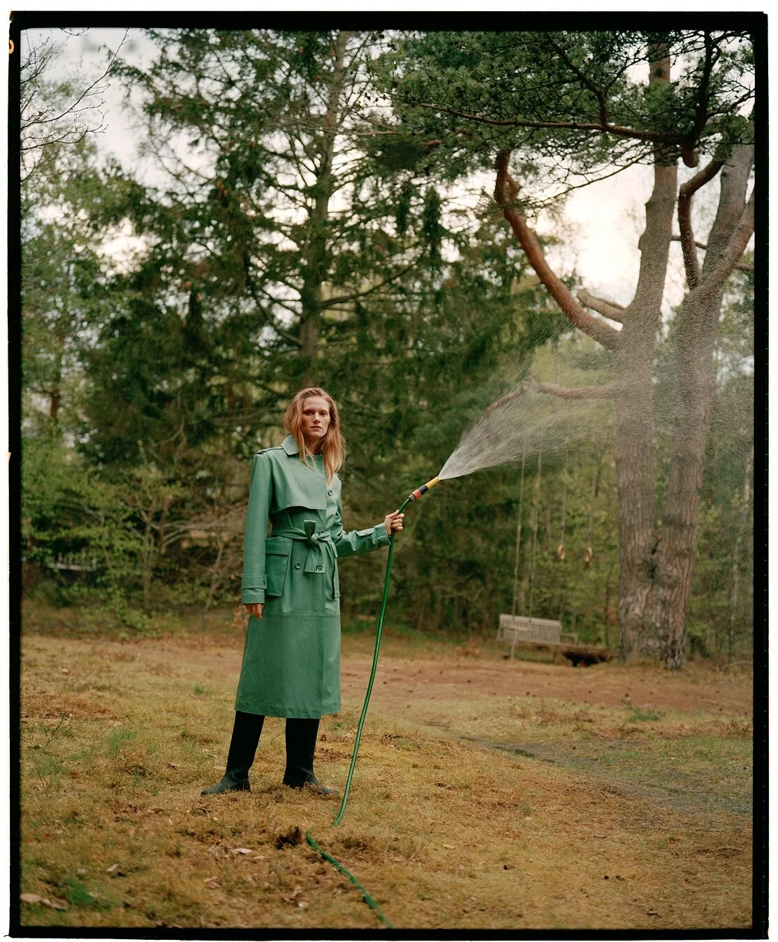IN06.jpg