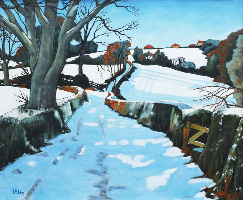 snowy track to aislaby.jpg