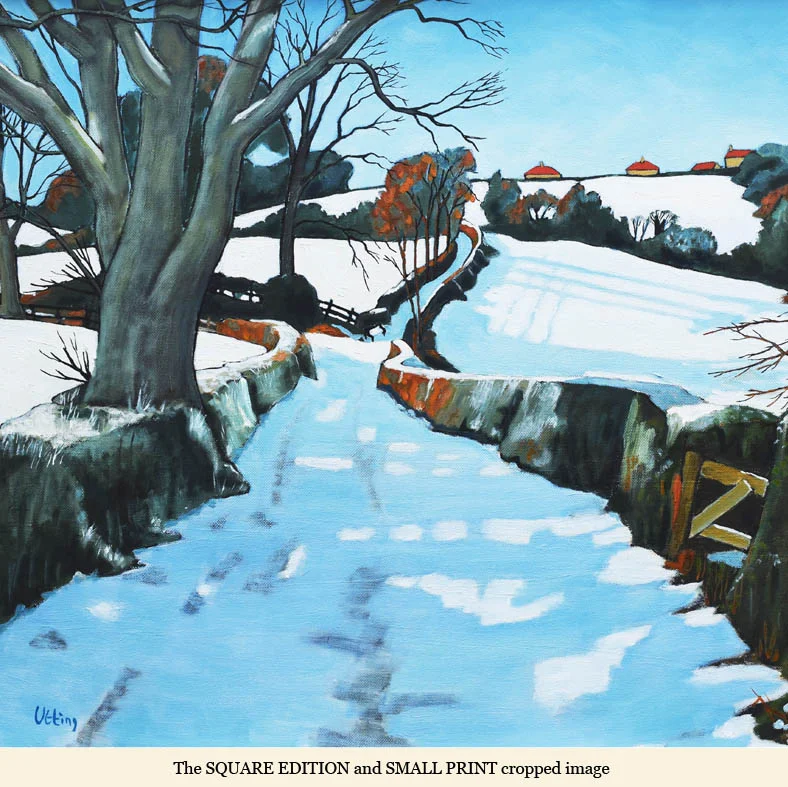 snowy track to aislaby SQUARE.jpg