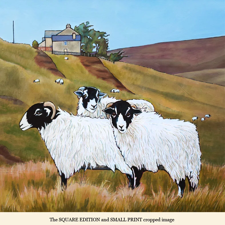 sheep on chimney bank SQUARE.jpg