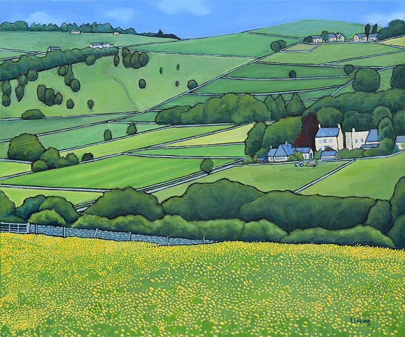 buttercup fields darley.jpg