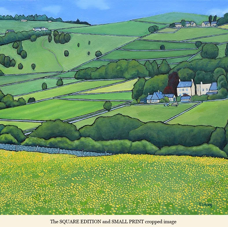buttercup fields darley SQUARE.jpg