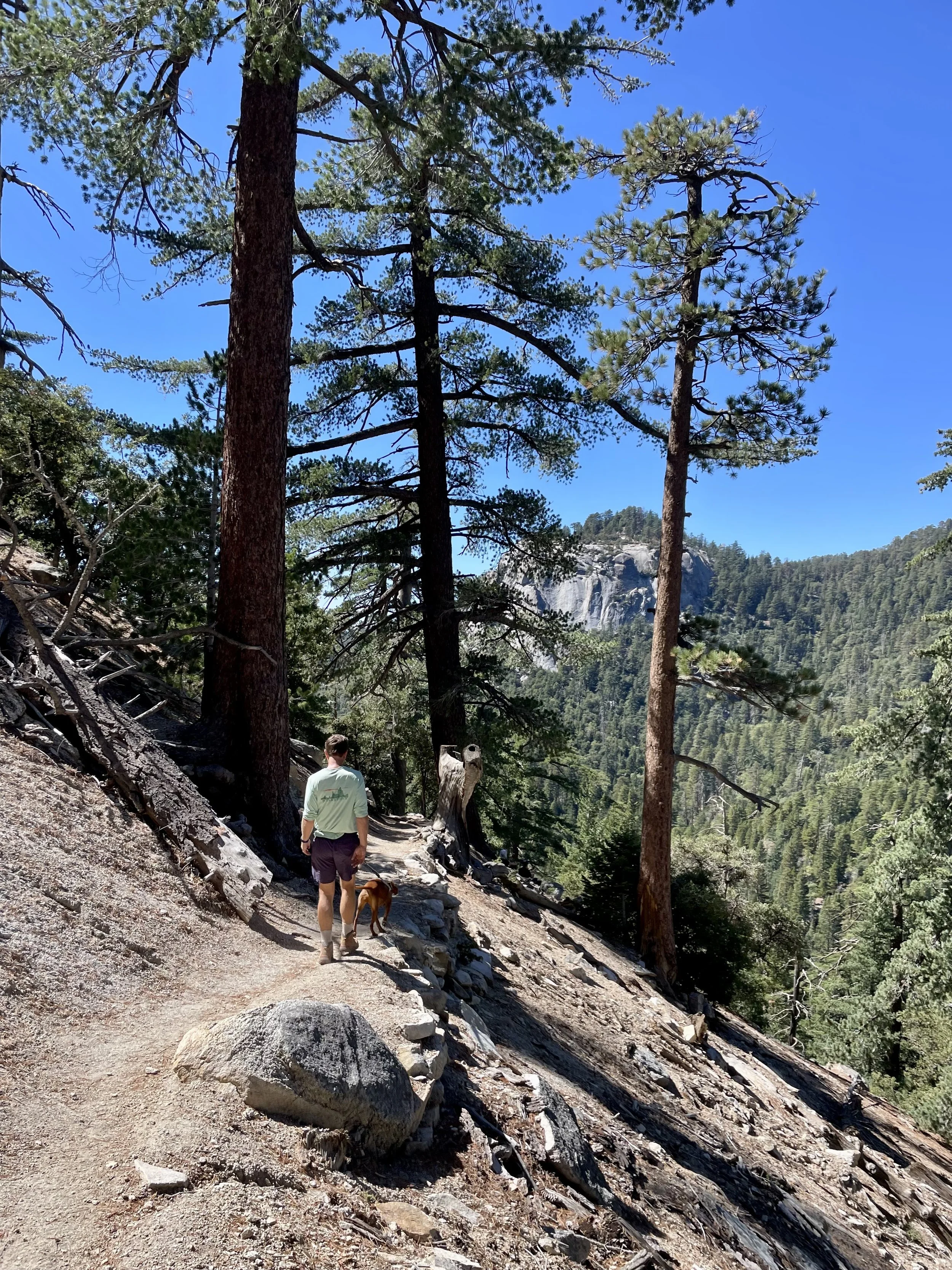 10 Things I Buy at Costco to Make Healthy Choices Easier