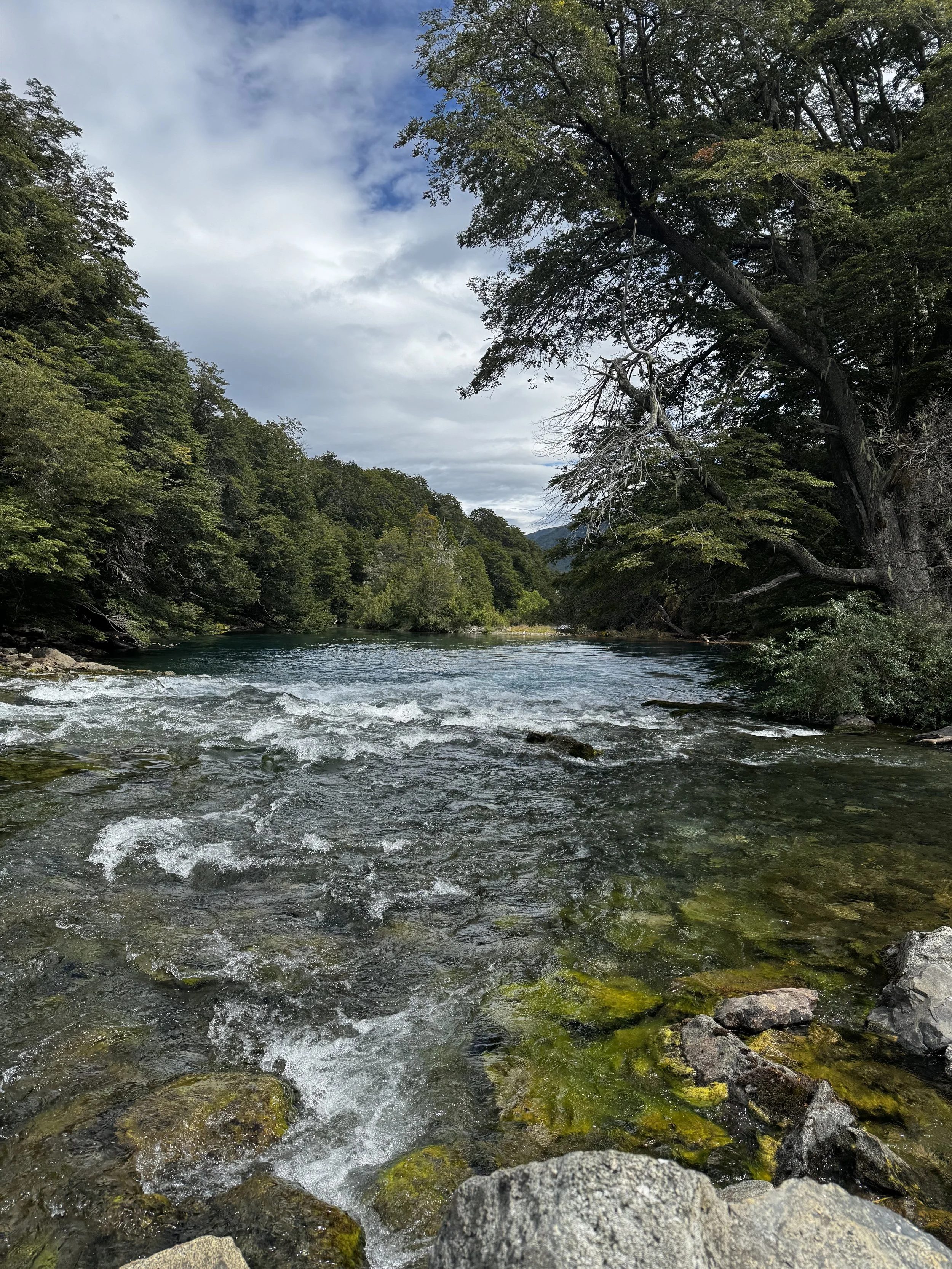 Adventure Ready: 6 "Bear Minimum" Travel Tips