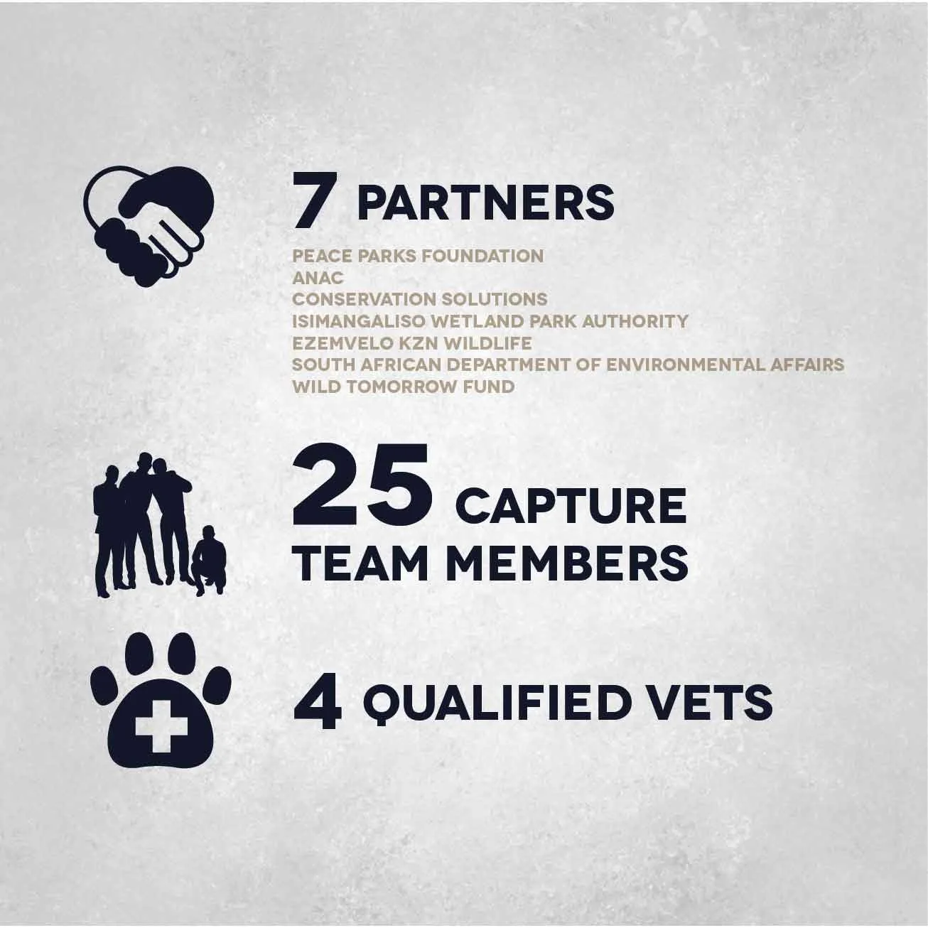 ERP-Tranlocation-Infographic_V2-04.jpg