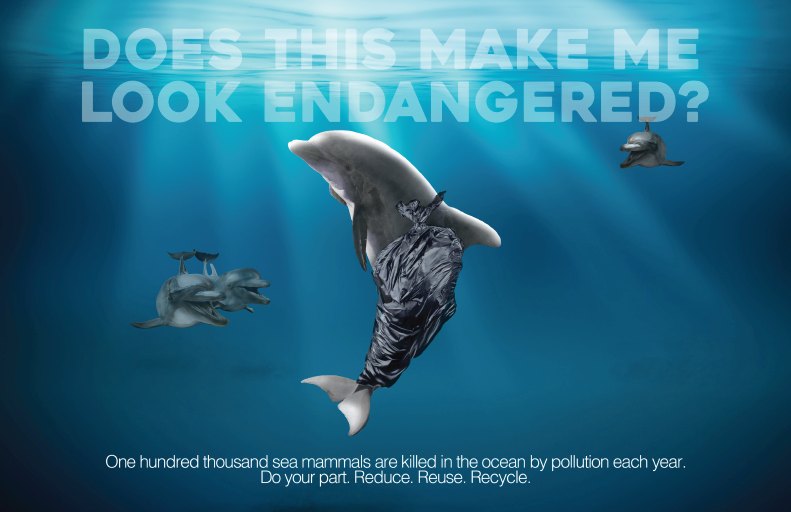 Save The Dolphins
