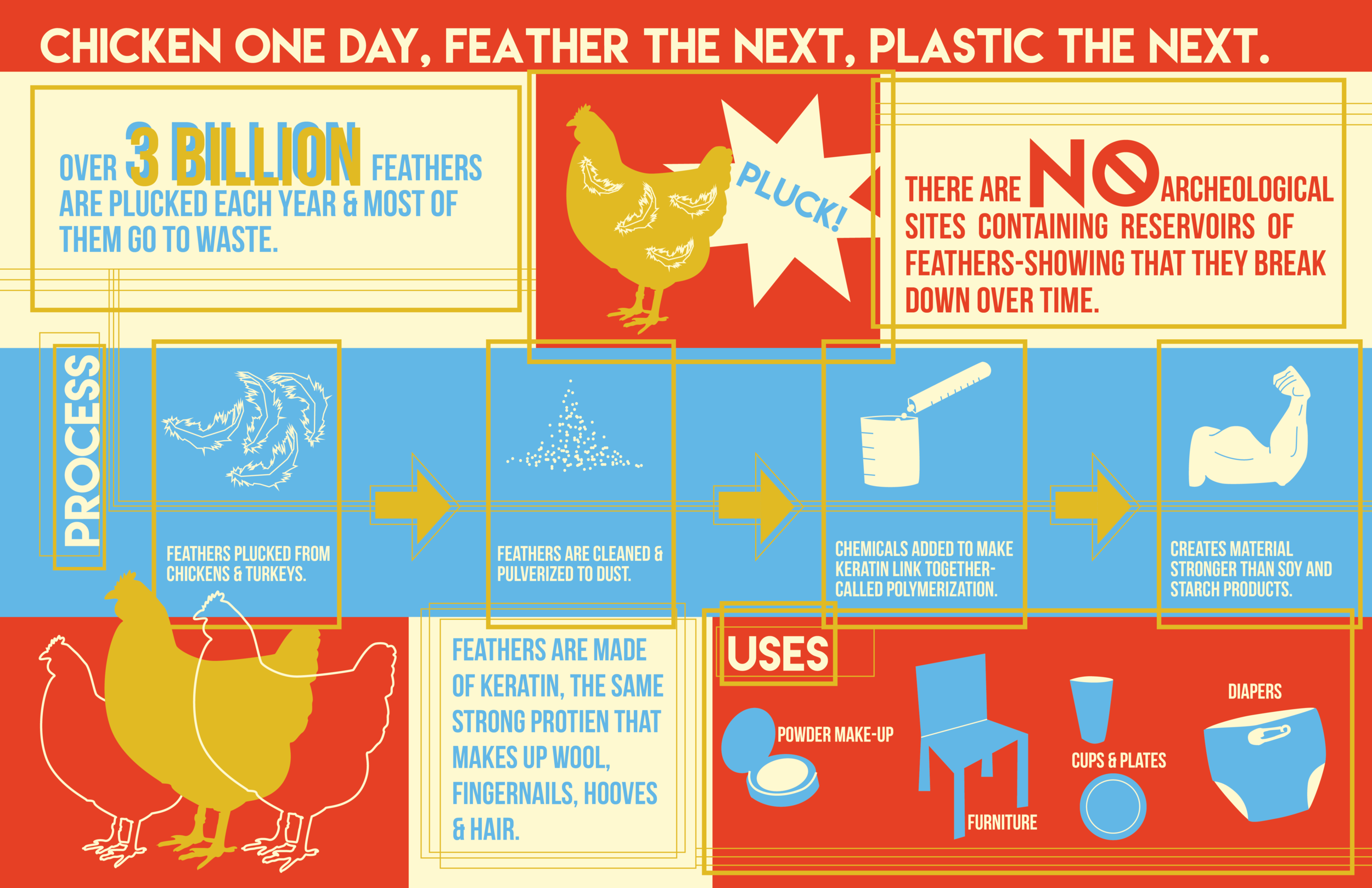 Chicken Feathers