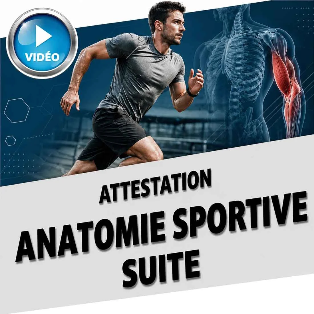 Formation-pour-entraineur-anatomie-sportive-suite-v2.jpg