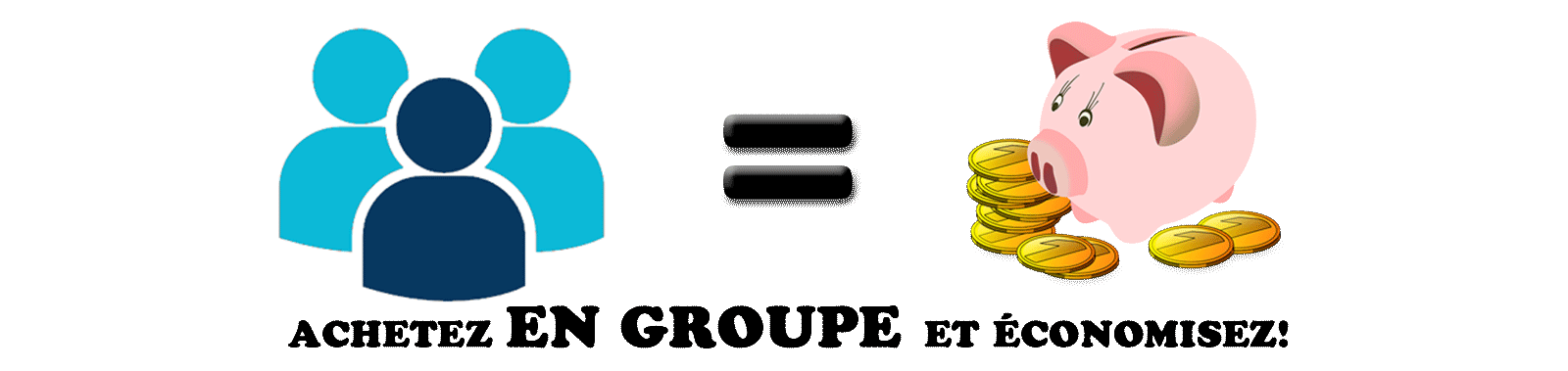 Achetez-en-groupe-et-economisez-Banniere-economisez.png
