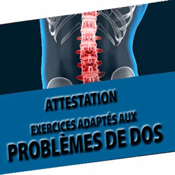 Formation-pour-entraineur-personnel-exercices-pour-problemes-de-dos.jpg