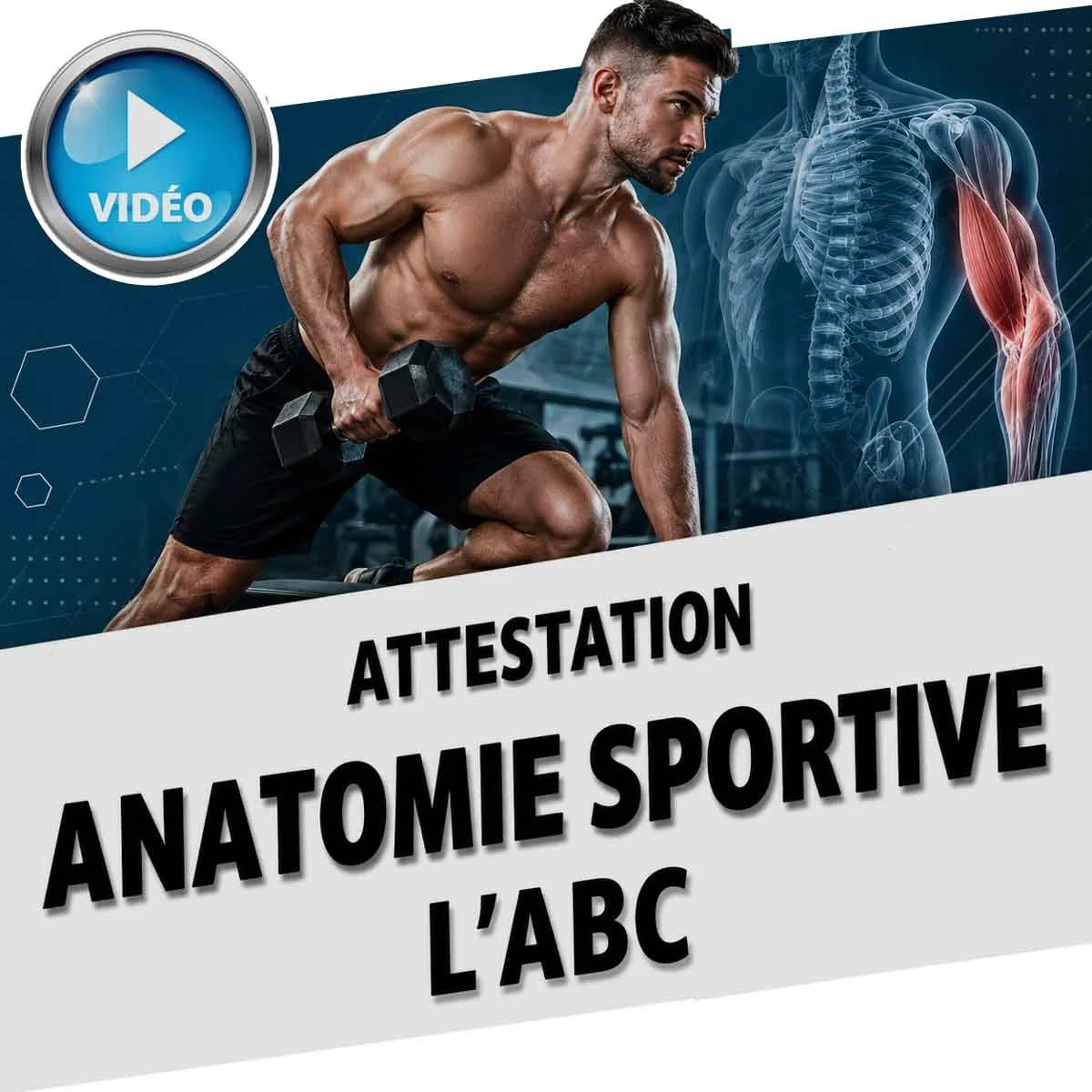 Formation-certification-pour-entraineur-anatomie-ABC