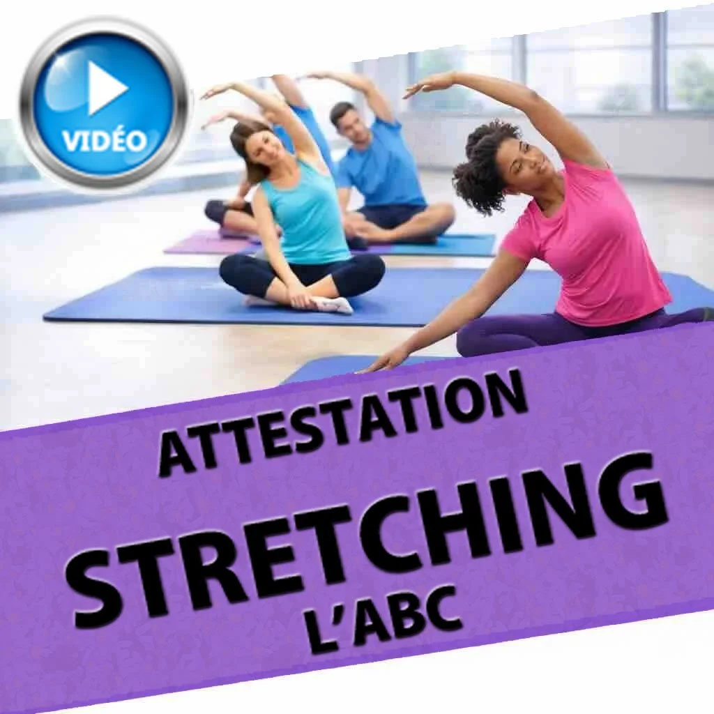 Formation et Certification de Stretching en Ligne | Devenir Prof de Stretching