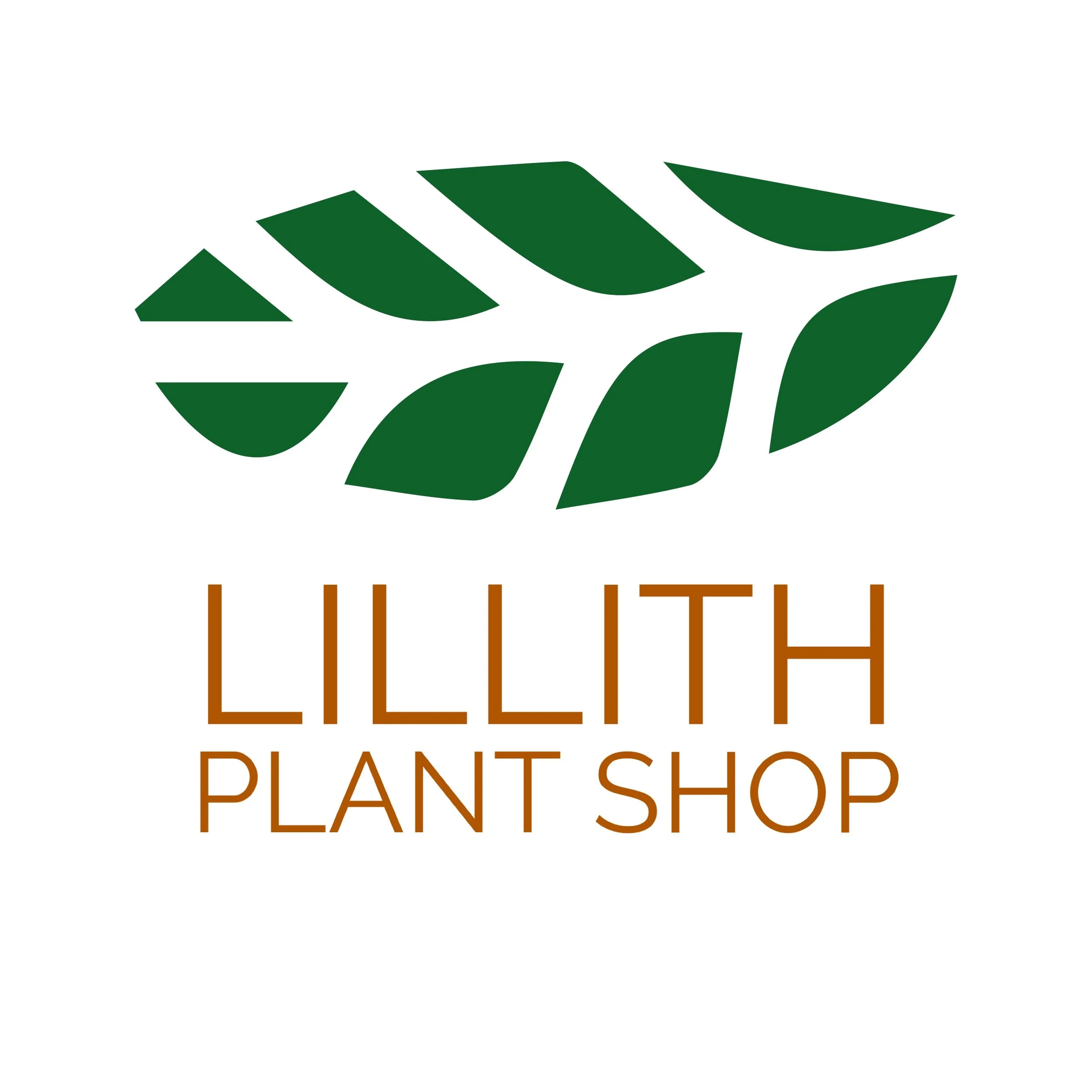 Copy of IMG_2164.JPG