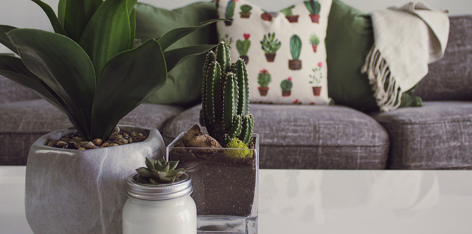 Screen Shot 2019-01-10 at 12.20.24 PM.png