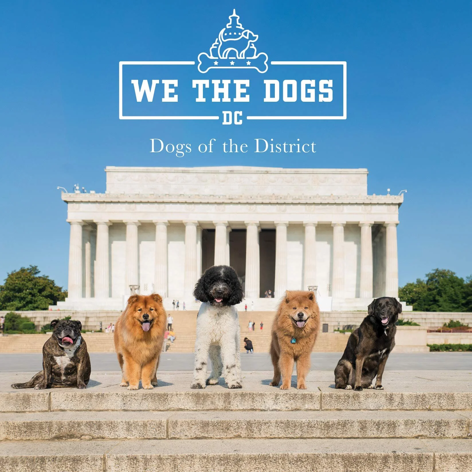 We the Dogs, Inc. is a 501(c)3 organization dedicated to connecting local dog owners and advocates in order to support animal rescue organizations. At We The Dogs DC, they are driven by a single goal; to build and strengthen the DC dog community. Th…