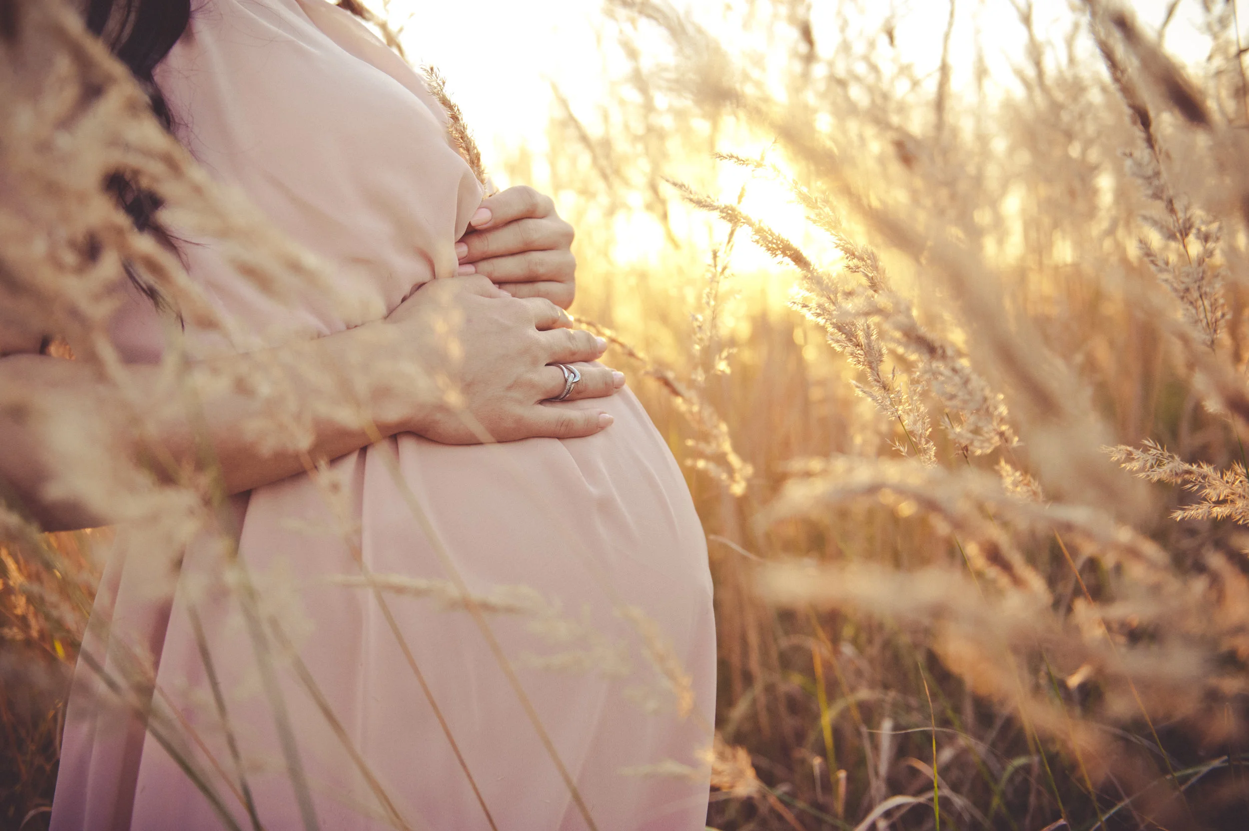 pregnancy field.jpeg