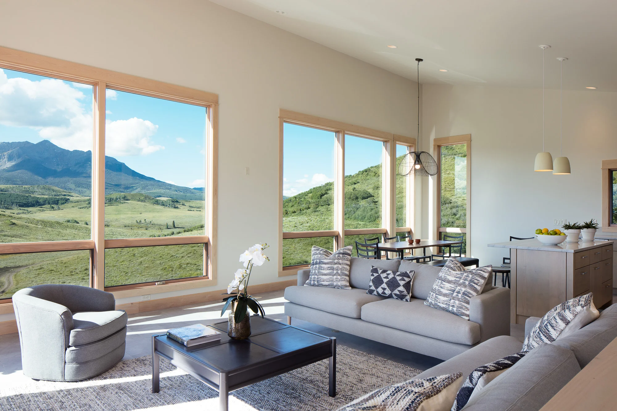 Dallas Divide Residence Living Room