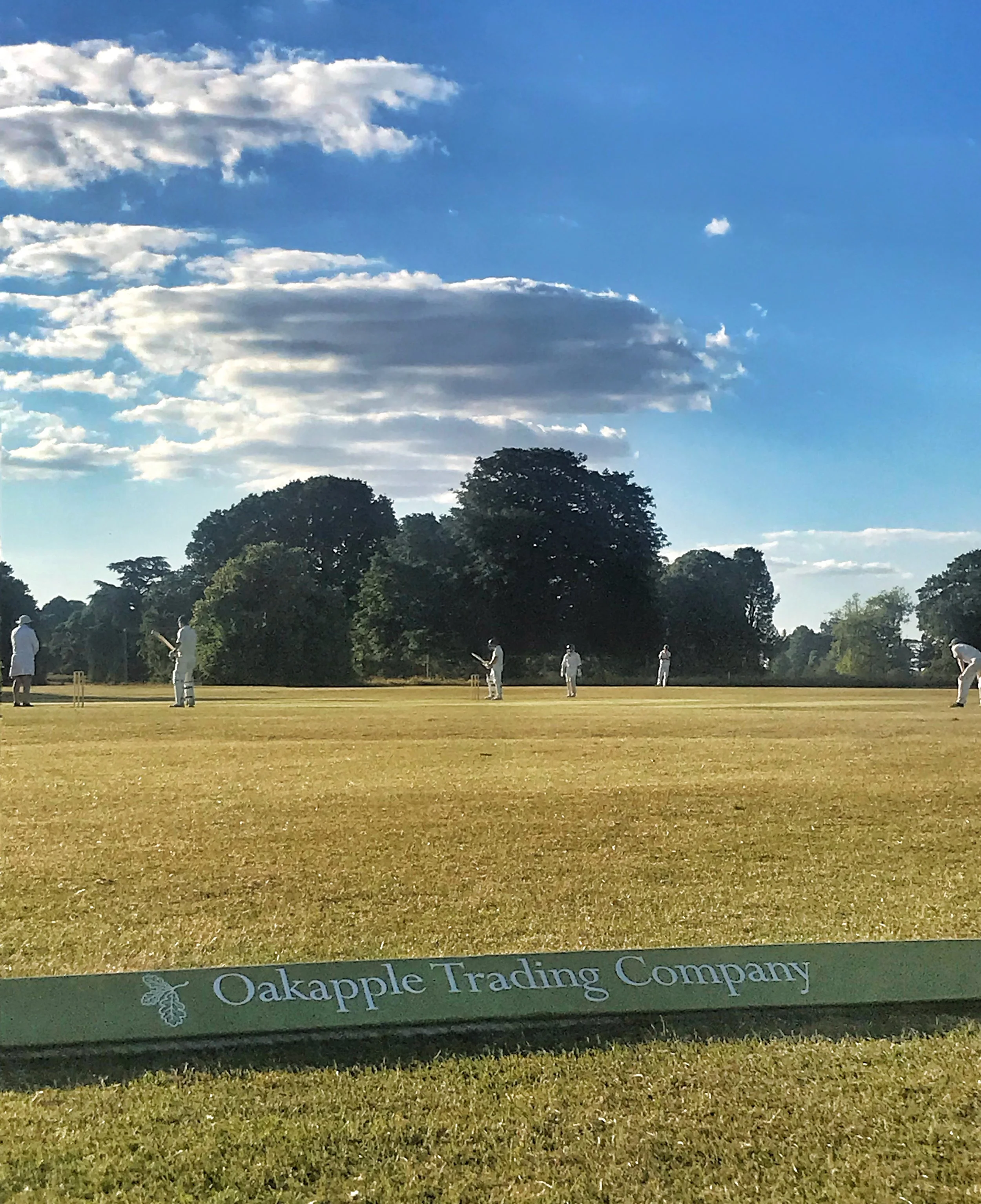 Match Report: Home T20 v White Hunter.