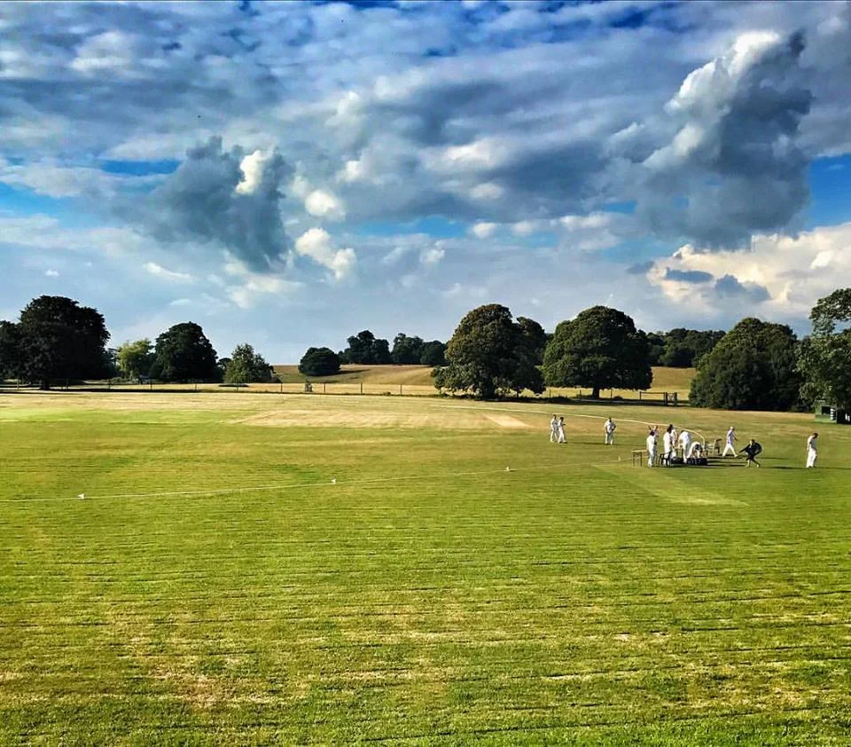 Petworth Park CC v Fernhurst CC
