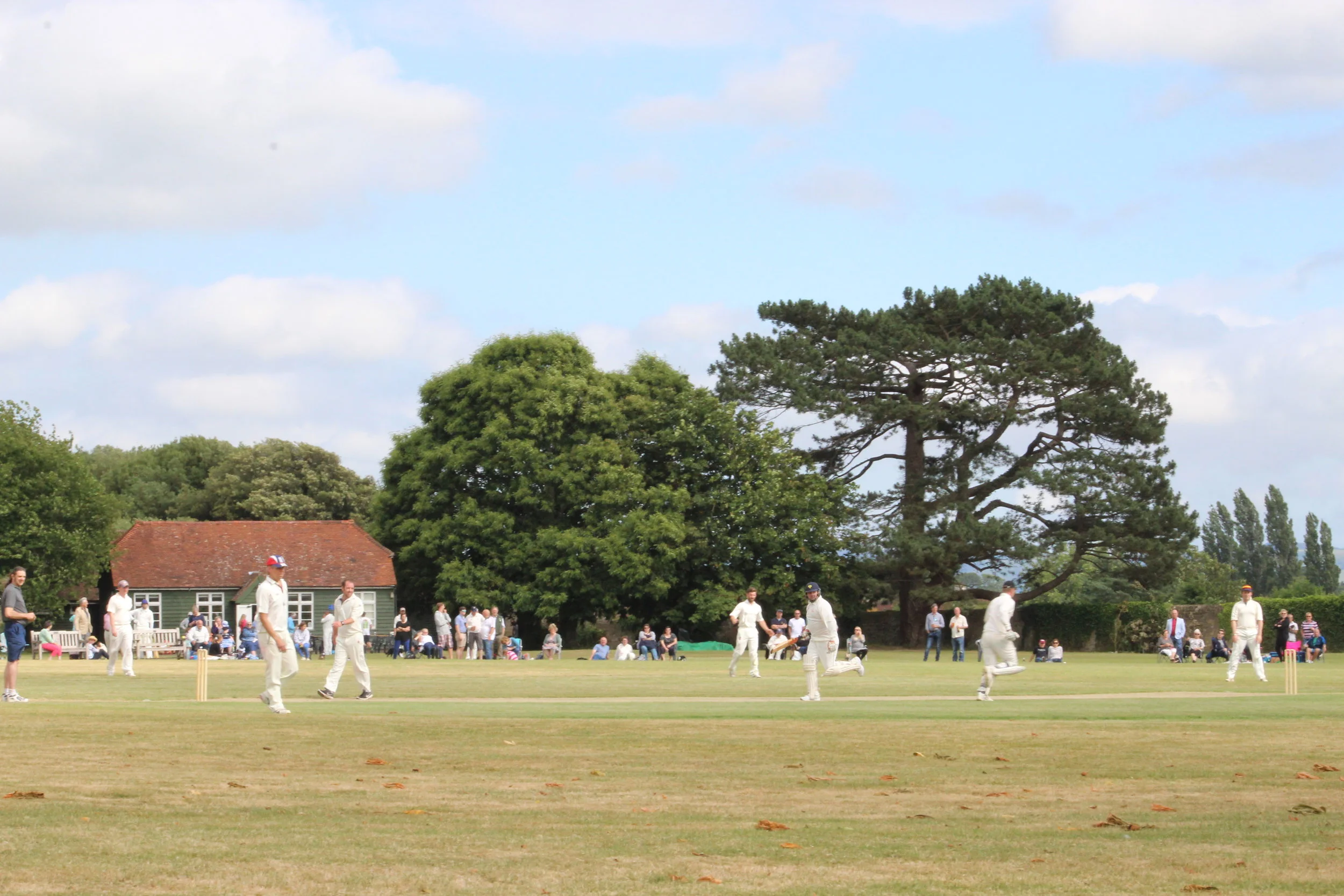 Petworth Park CC v Lodsworth CC