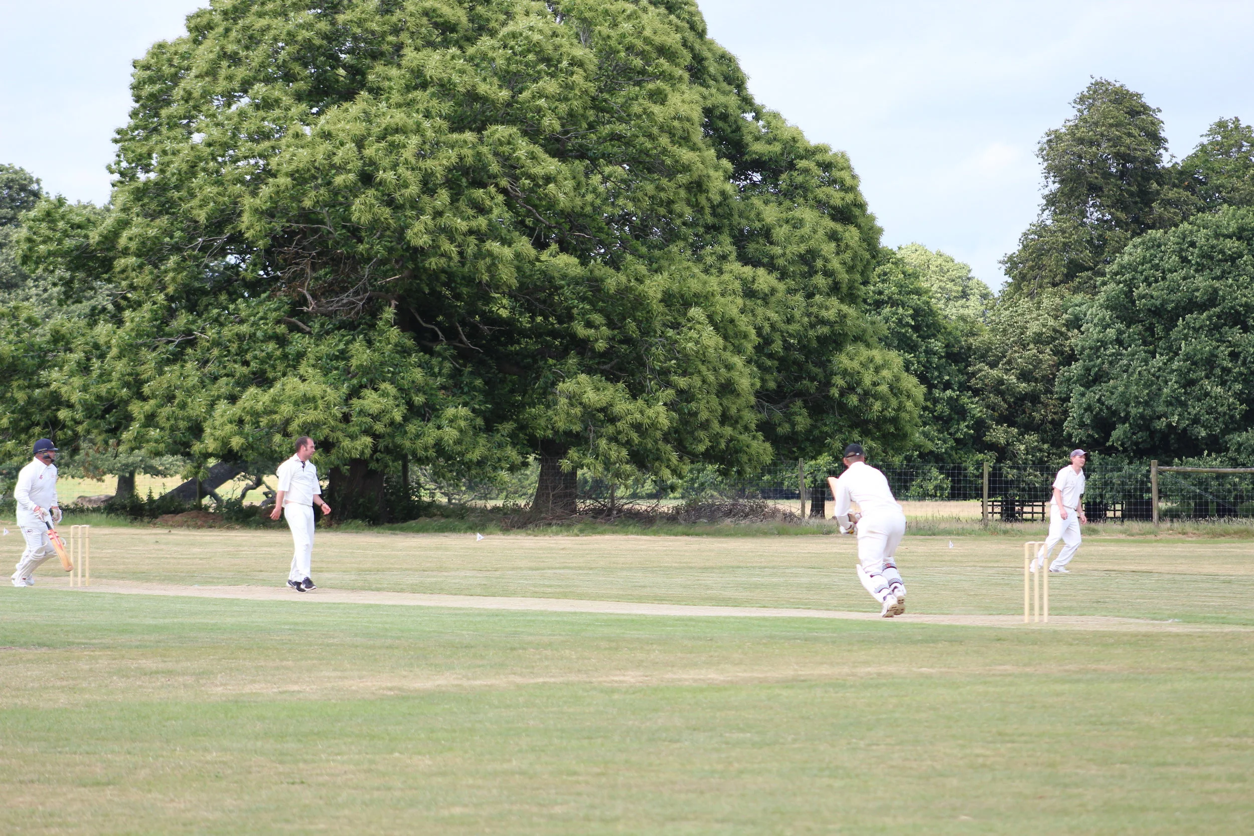 Petworth Park CC v Cricketers Club of London