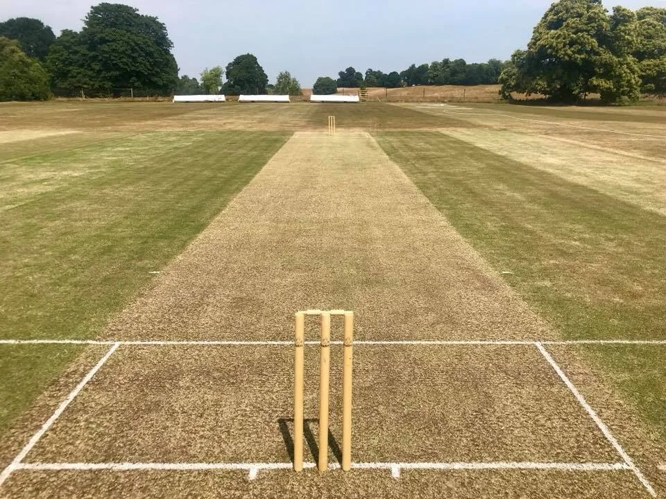 Petworth Park CC v Wisborough Green CC (T20)