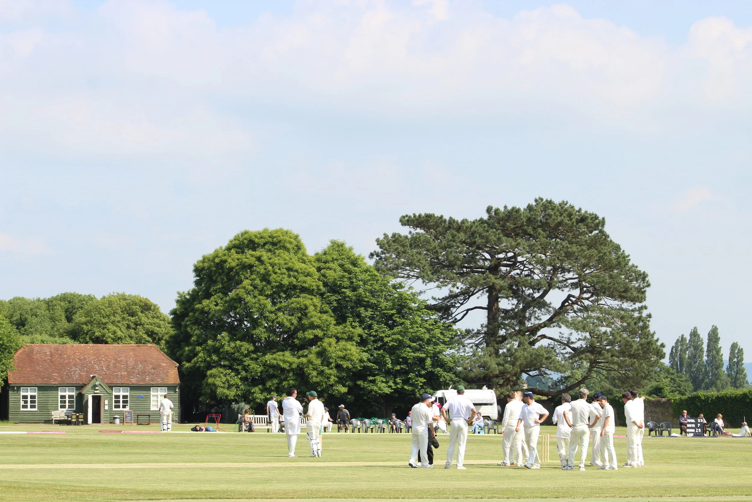 Petworth Park CC v Ebernoe