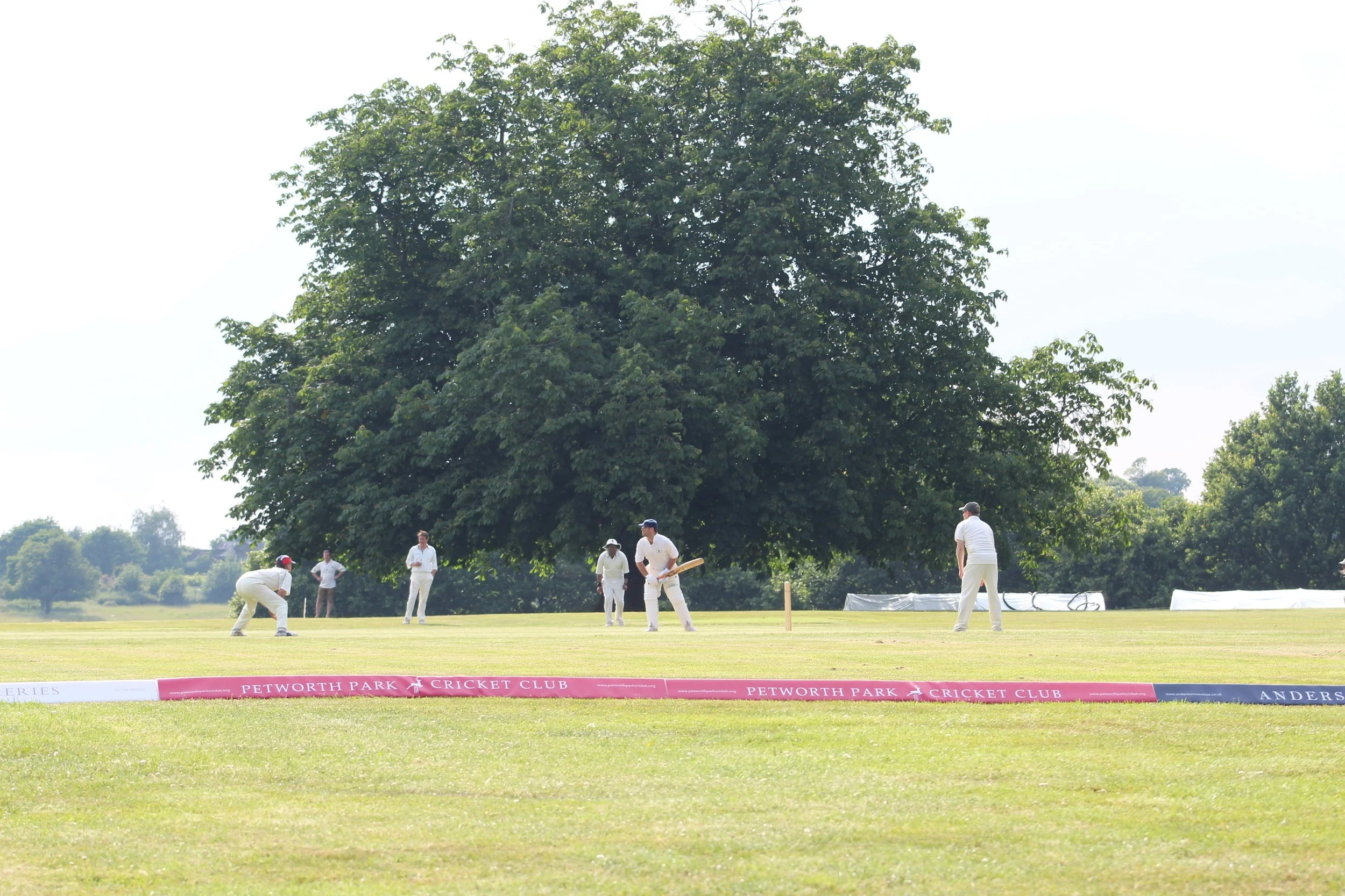 Petworth Park CC v Tillington CC