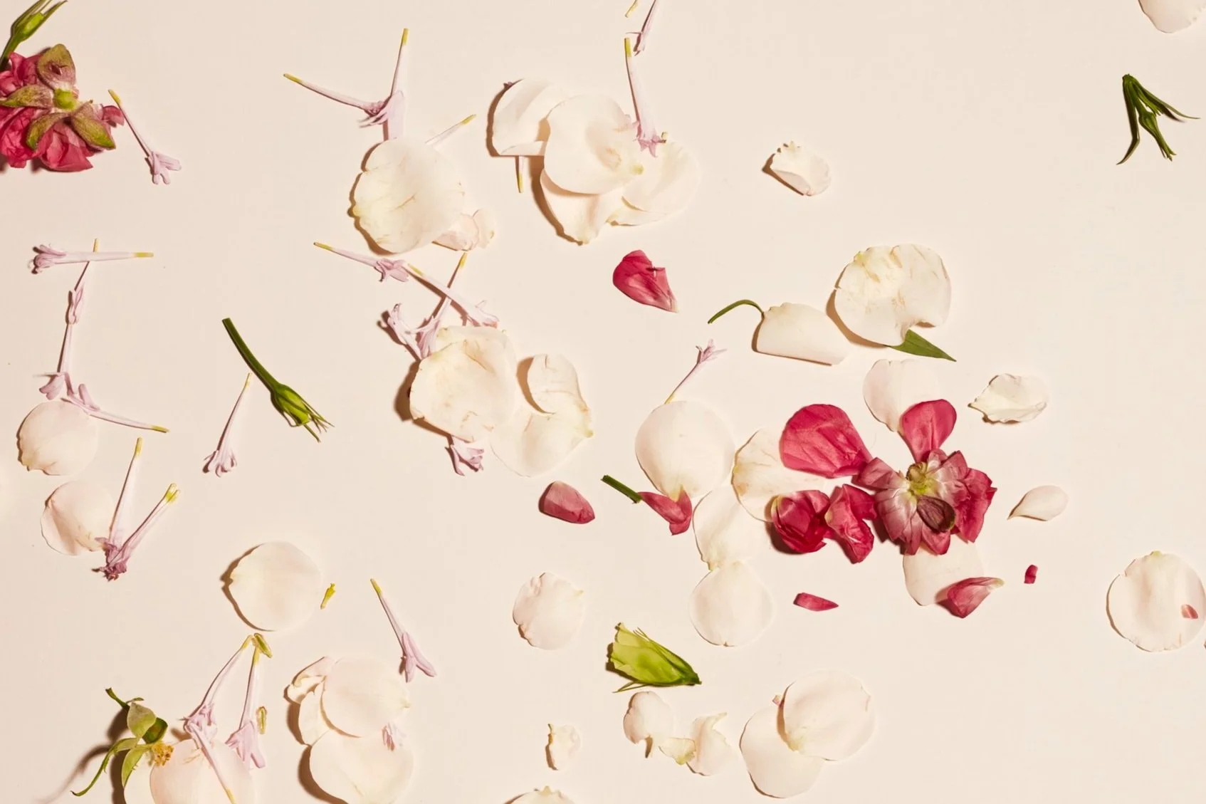 23-STYL-Valentines-Botanicals-Florals-01.jpg