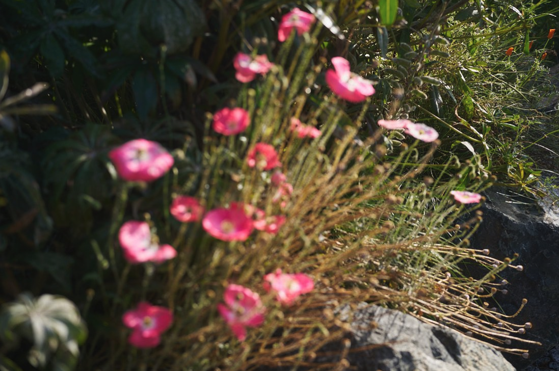 Screenshot 2026-01-09 at 10.40.57 AM.png