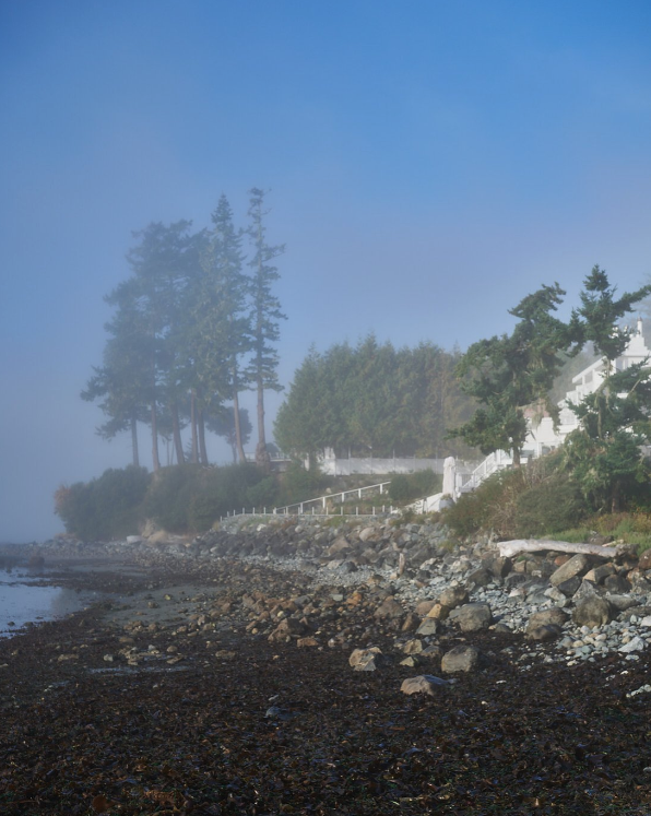 Screenshot 2026-01-09 at 10.41.06 AM.png