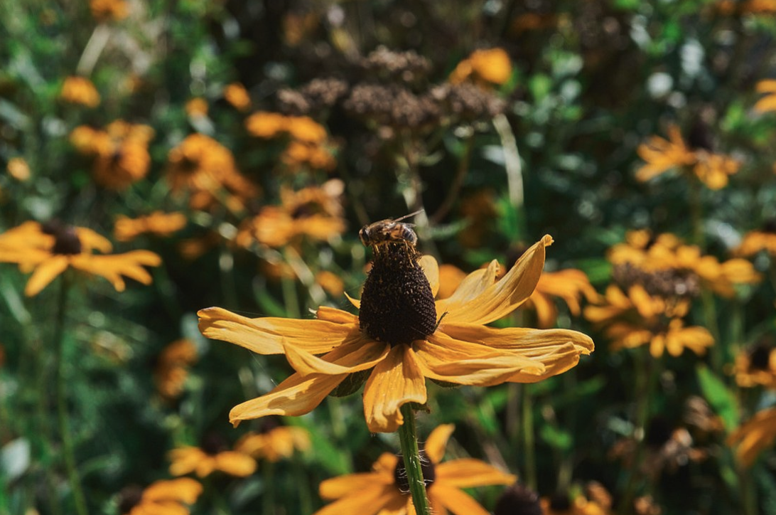 Screenshot 2026-01-09 at 10.41.18 AM.png