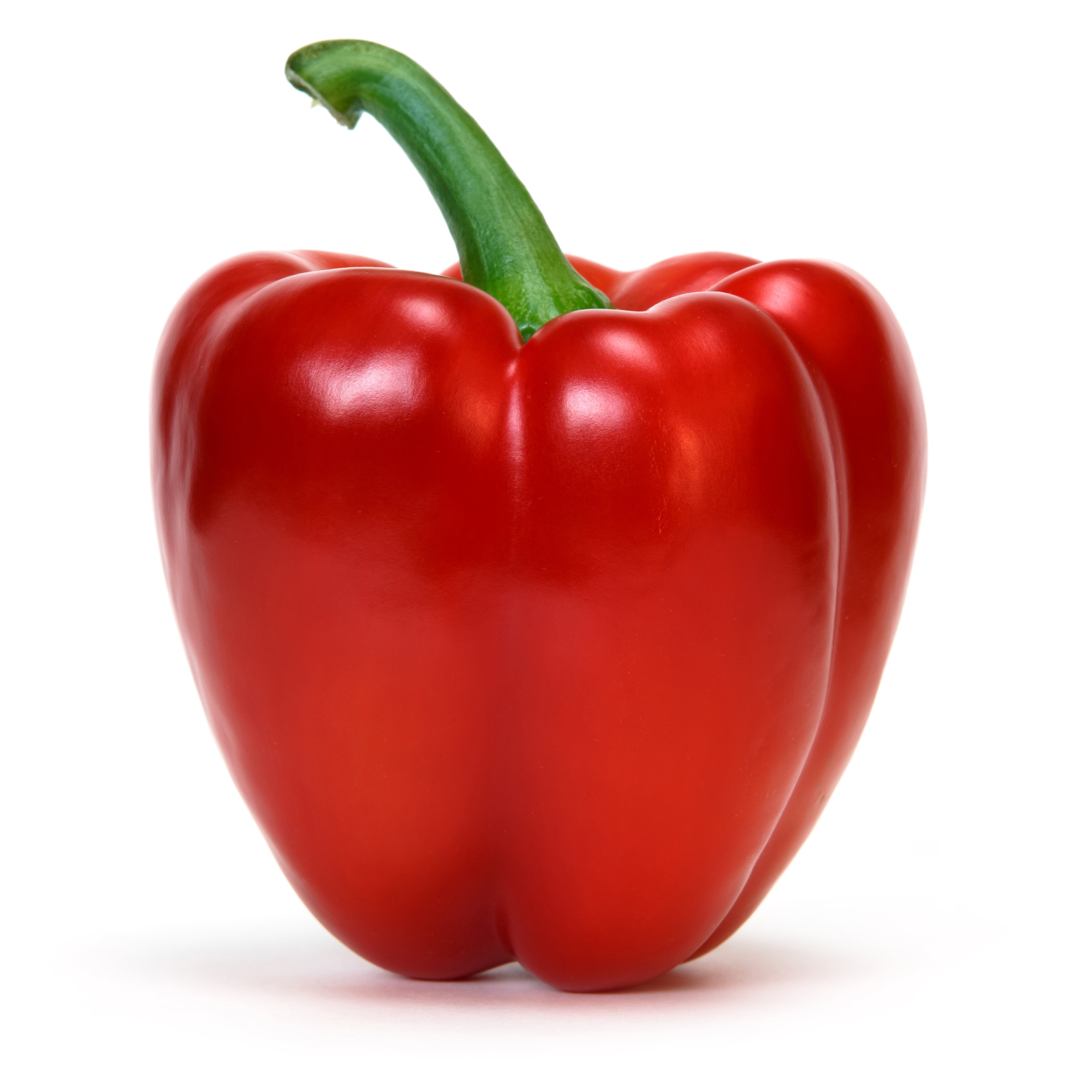 Bell Peppers — Peppers Plus