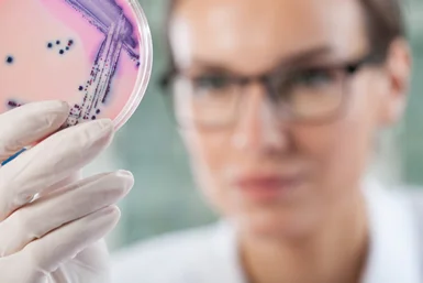 bacteria.jpg