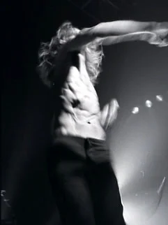 Iggy in Paris 19c .jpg