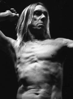 Iggy Pop.jpg