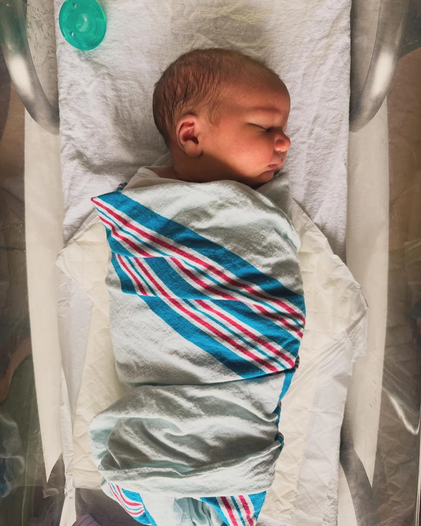 mars! ✨✨✨ how are you already 6 weeks old. sometimes i think i dreamed you into reality. 

mars huckleberry officially joined us on november 28, weighing just under 10 lbs. he&rsquo;s been a wonder. calm, cool, and downright adorable. it wasn&rsquo;t