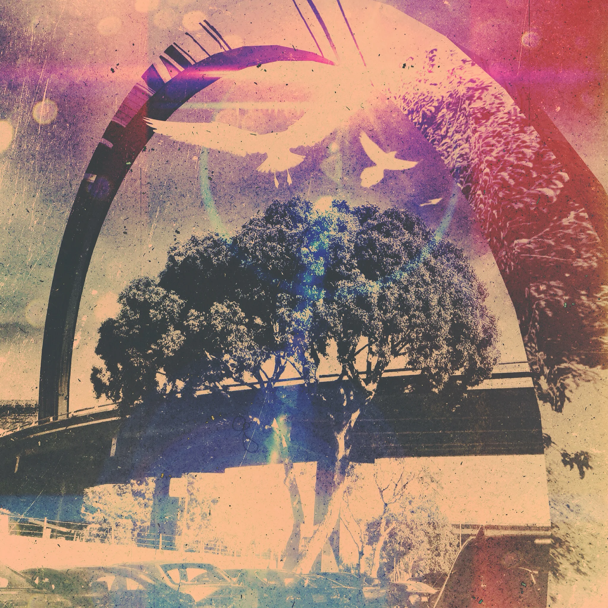 2014_08_13 - IMG_9662.JPG