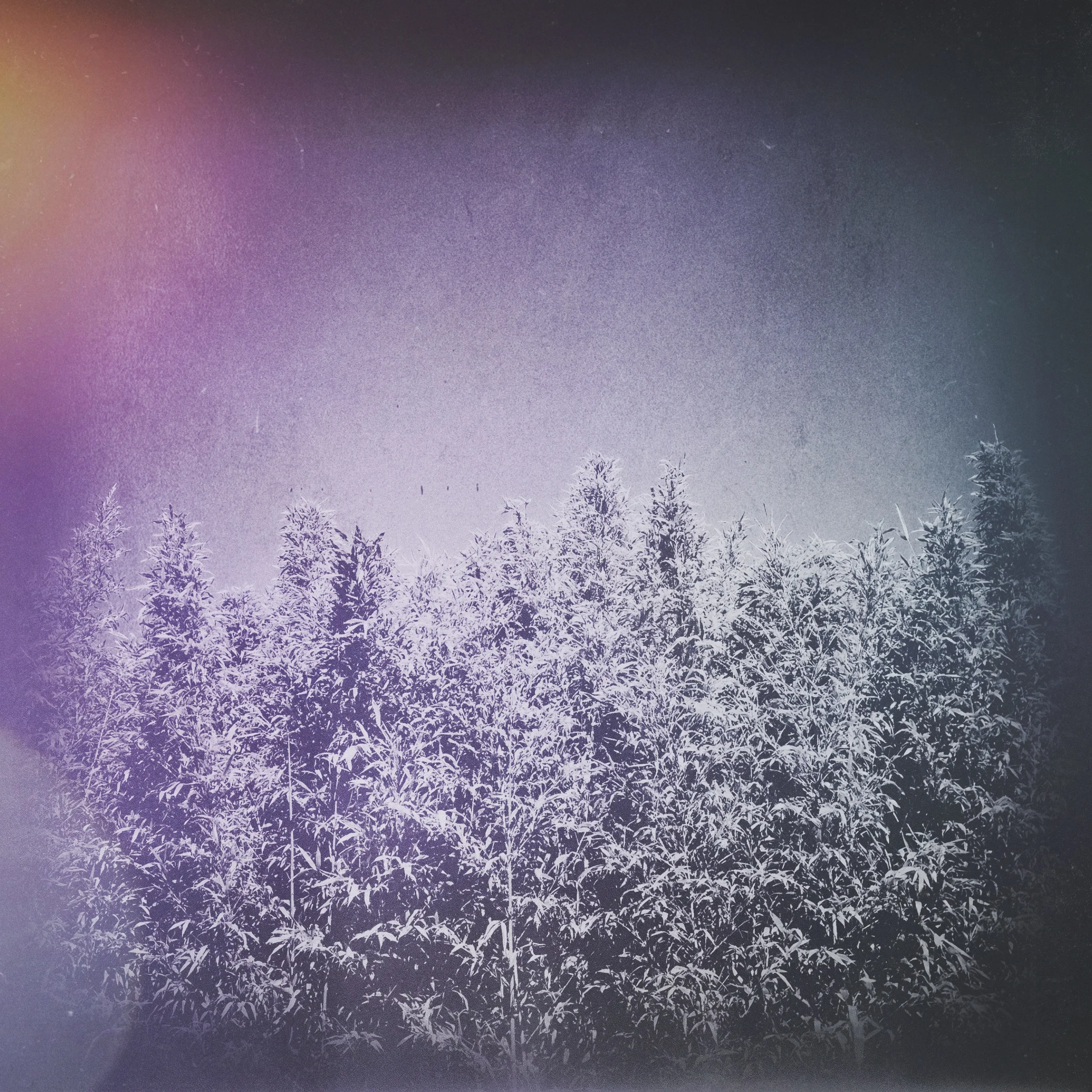 2013_07_06 - IMG_6059.JPG