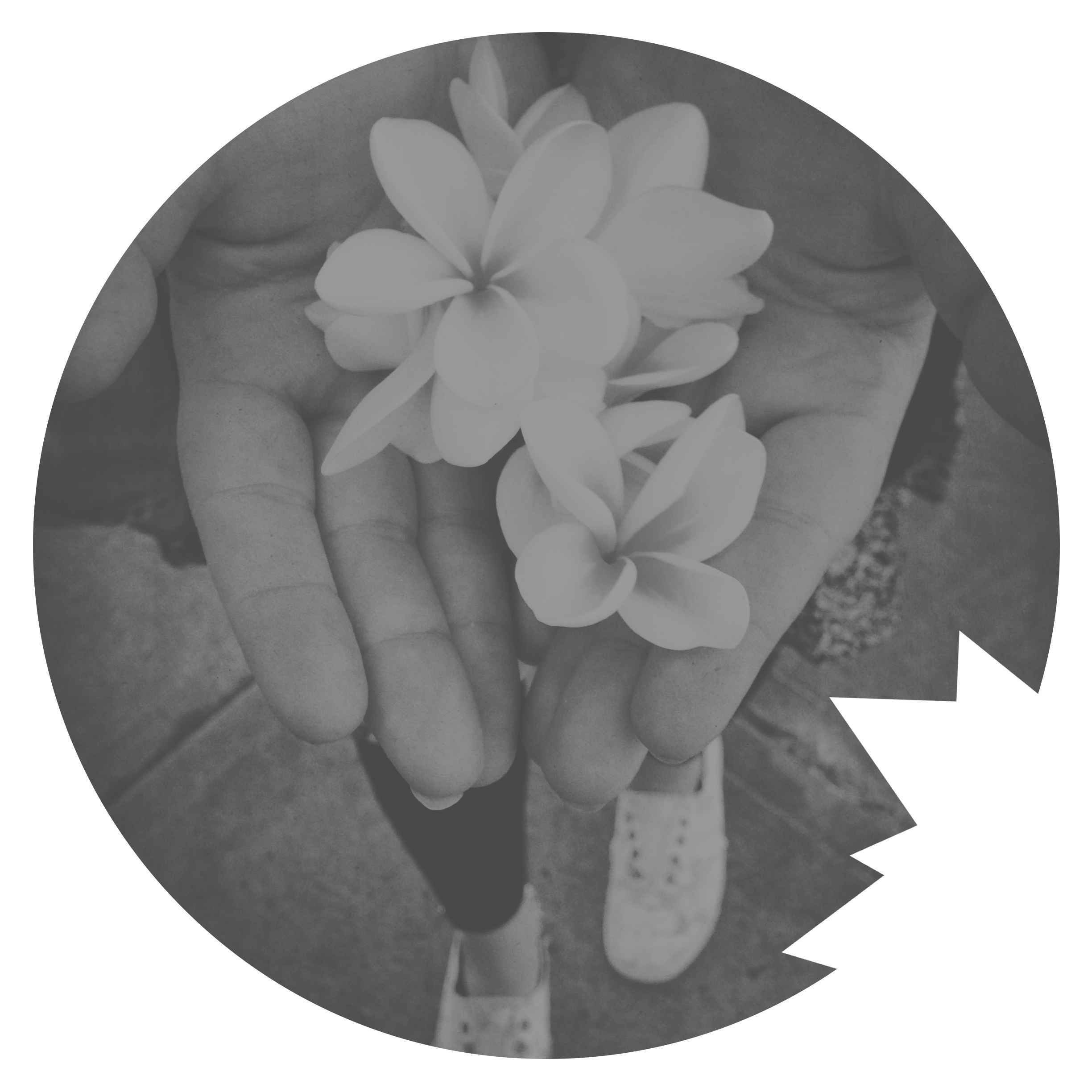 2013_05_04 - IMG_5236.JPG