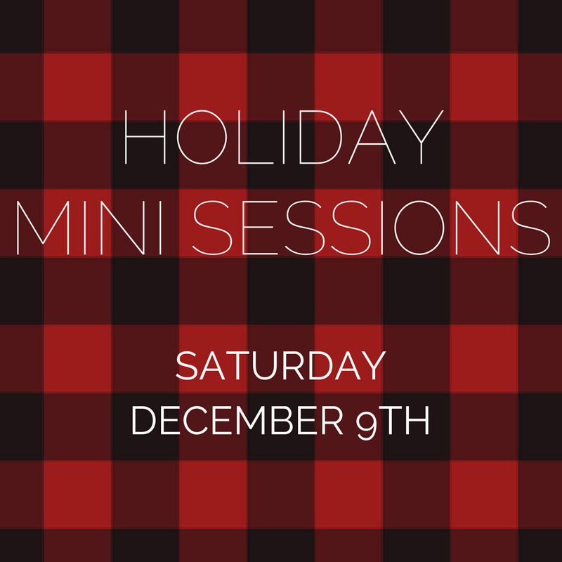 HOLIDAY MINI SESSION: Saturday December 9th