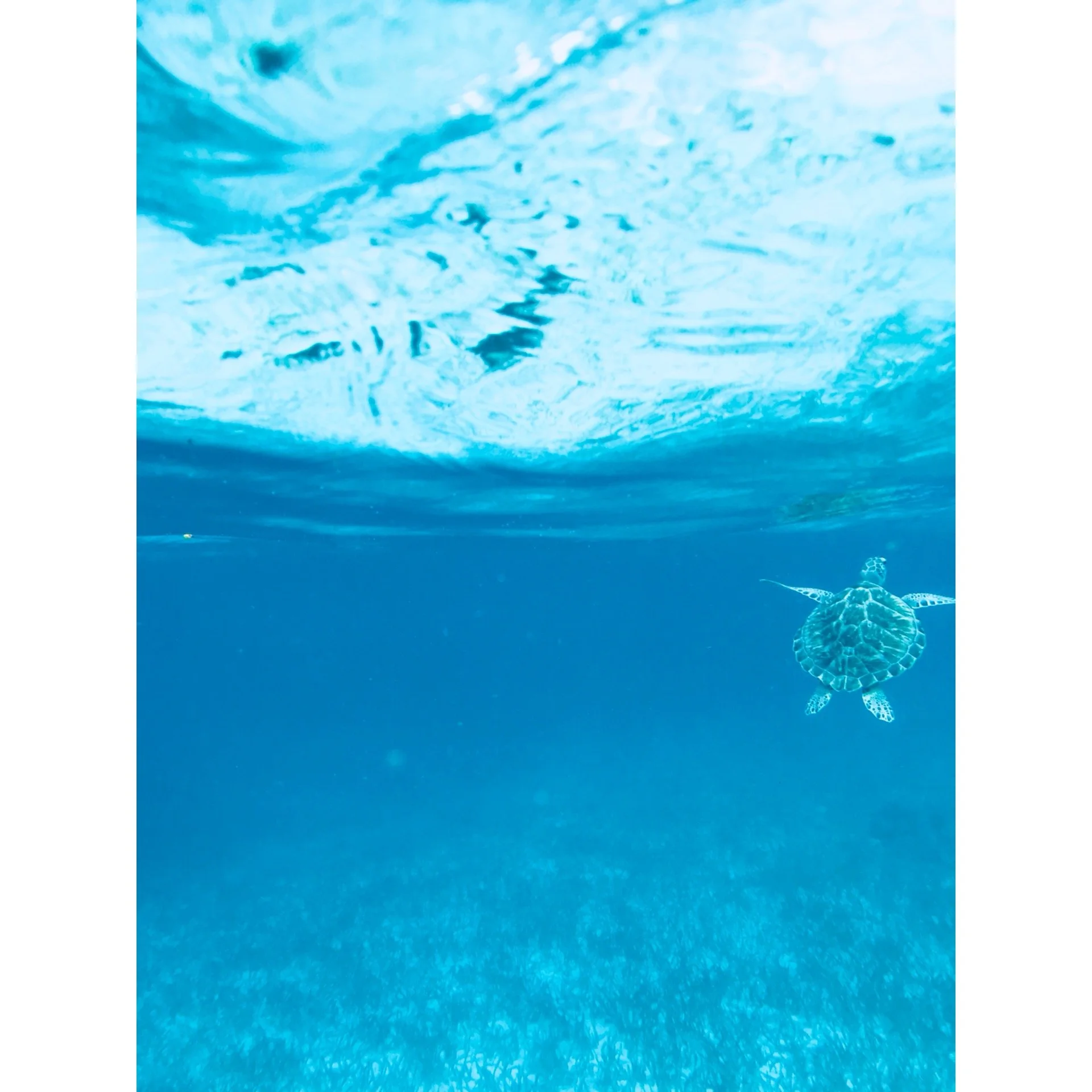 Educational Travel for Lifelong Learners and Beyond