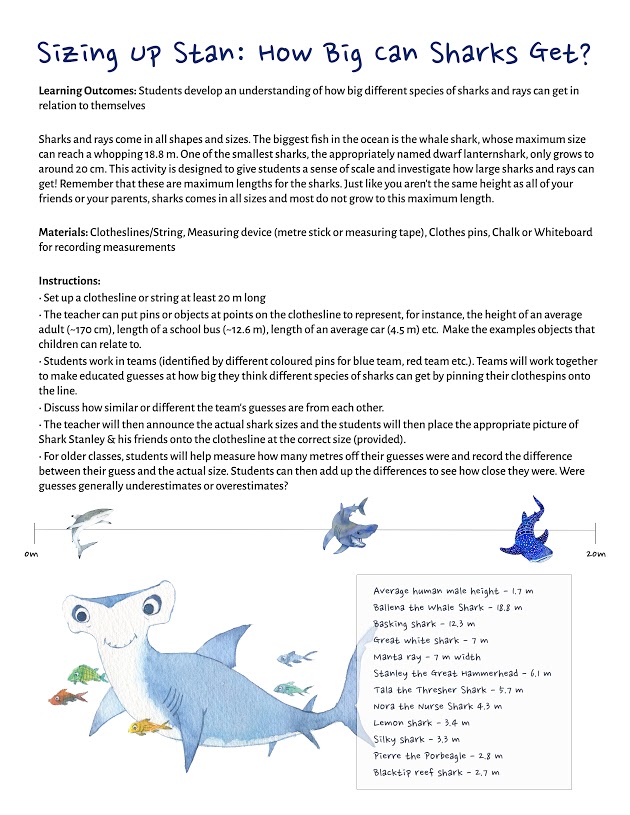 YOUNGER KIDS Sizing up Stan : How Big Can Sharks Get? This exercise teaches children about the different way that sharks and marine animals can grow! A memorable and interactive exercise, that needs only some string, a measuring tool, and markers or clothing pins. Learning Outcomes: Students develop an understanding of how big sharks and rays can get in relation to themselves.