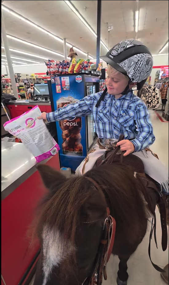 Horse for Sale | Snoopy | Pony Gelding. A boy in a helmet riding a small horse inside a store, reaching for a bag of snacks at the checkout counter.