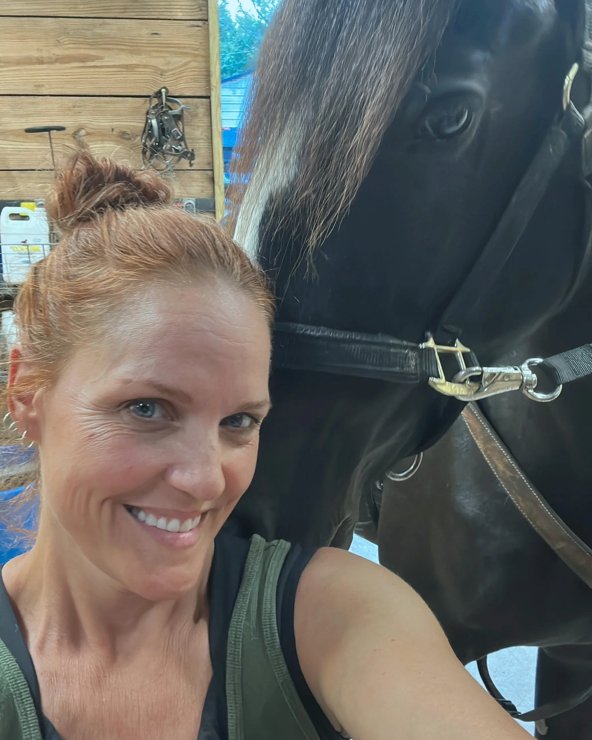 Forensic Horsemanship: Why Observation Changes Everything
