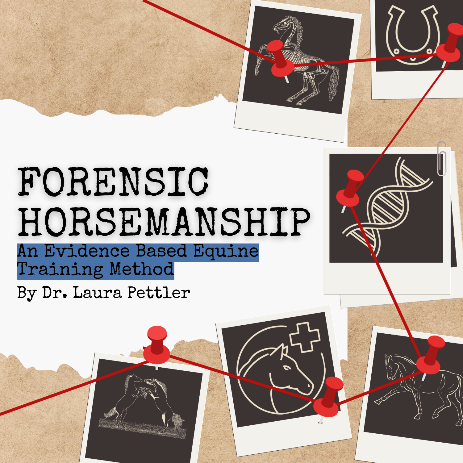 Introduction to Forensic Horsemanship