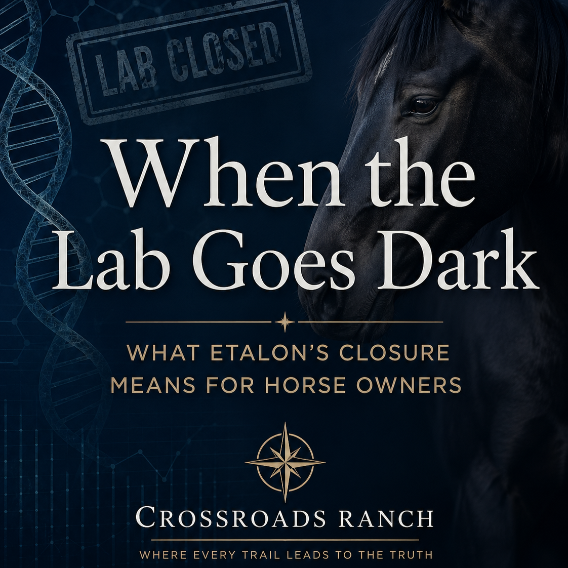 Closed: What Etalon’s Closure Means for Our Clients