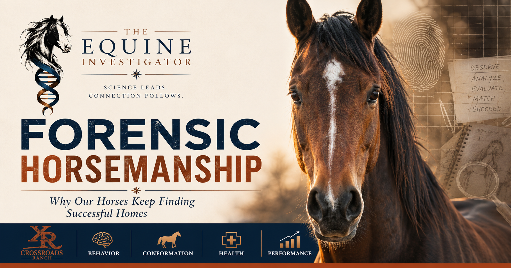 Forensic Horsemanship: Why XR Horses Keep Finding Successful Homes